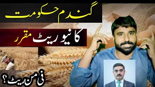 Wheat Price in Punjab 2024 | Wheat New Price 2024 | Gandum Ka New Rate 2024 | Wheat Price Today 2024