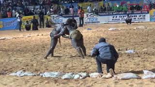 Pokola Baldé bat boul lal et s’affiche comme la nouvelle terreur de l’arène