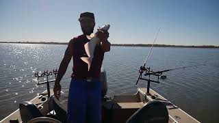 Trolling for BLUE CATFISH