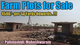 Farm Plots for Sale at Pulimamidi # P58 || Maheshwaram || Kollapadakal Road || Ranga Reddy Dist ||