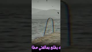 من يجي الليل اختنك 😭💔|علي الساعدي |حالات واتس اب حزينه تصاميم فراق للفاكد غالي 💔2022