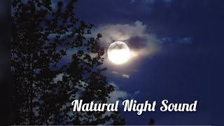 Natural Night Sound ।Relaxing Natural Sound