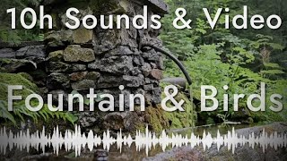 Sounds of Water Gurgling and Birds Chirping (10 hours of relaxation sounds with video)