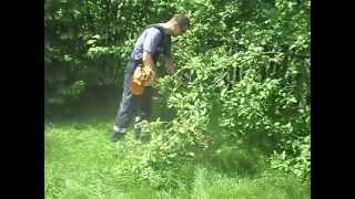 Stihl FS38