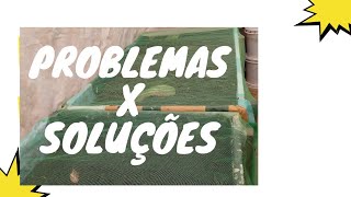 #Problemas X soluções na alimentação das minhocas gigantes africanas