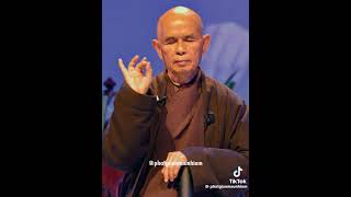 Triệu hạt mưa không hạt nào rơi nhầm chỗ, người ta gặp ko ai là ngẫu nhiên#thichnhathanh