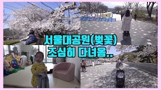 우리아이 첫 서울대공원 벚꽂구경(사회적거리두며 다녀옴..) | 아빠육아 브이로그