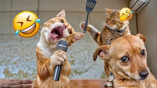 Funny Dogs And Cats Videos 2024 😅 - Best Funniest Animal Videos Of The week