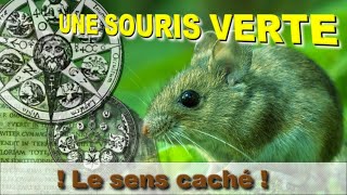 Une souris verte, sens caché de la comptine ! Secret du Grand Œuvre