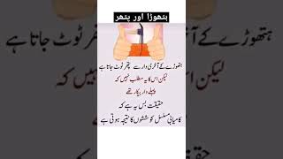 ہتھوڑا اور پتھر، #trendingshorts #deeplines #youtubeshorts #urduquotes #hazratali #hazrataliquotes