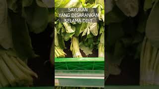 SAYURAN yang disarankan selama diet #shorts #short #viral #diet #health @RahayuFoodbyBundaNcie