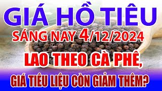 Giá tiêu hôm nay 4/12: lao theo cà phê, giá tiêu liệu còn giảm thêm?