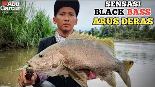 Sensasi Black Bass Arus Deras || Casting Black Bass.