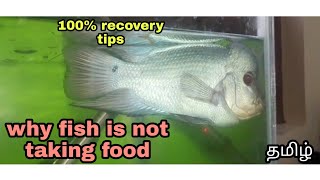 Why fish is not taking food | 100% recovery tips | Aquapets & farm