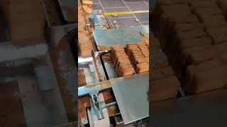 Auto Rusk Packing Machine