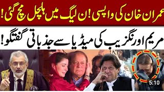 Maryam Aurengzaib On Imran Khan | Rana Bilal Journalist |