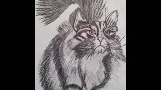 cat pencil drawing  #art #artist #artwork #drawing #drawingtutorial #cat #pets #littlecats