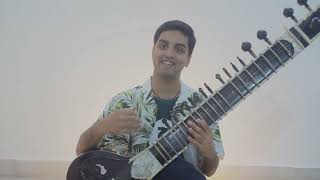 With You - AP Dhillon - Sitar Cover - Heythereabaadi