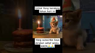 Untuk yang berulang tahun hari ini, sehat selalu ya panjang umur amin🙏 #kucing #ulangtahun #shorts