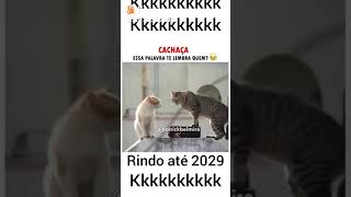 23 de janeiro de 2020