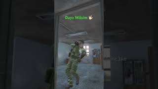 Dayz Milsim 🤙