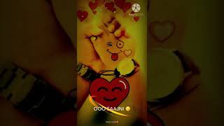 oh sajni||new WhatsApp full screen status||love status full screen free download||new status||❤️🌹