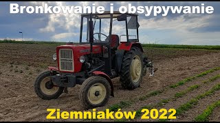 Bronkowanie i opsypywanie ziemniaków 2022 ✔ Ursus i Władimirec w akcji ✔