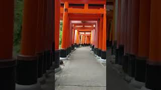 Fushimi Inari Taisha  Senbon torii