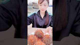 Eating show - eating sea urchins