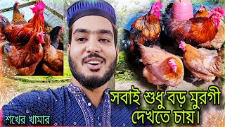 অনেকদিন পর চলে আসলাম ক্যামেরার সামনে 😊 | সবাই শুধু বড় টাইগার মুরগি দেখতে চায় | Trisha Agro