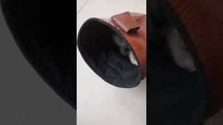 Kucing kedinginan di sepatu safety