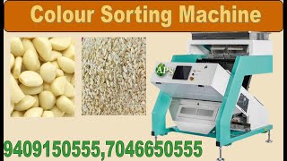 Garlic Color Sorting Machine Installation In Ahmedabad Gujarat