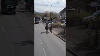 The Horses in High Road in England/ mother and daughter ride horses in the main high street UK