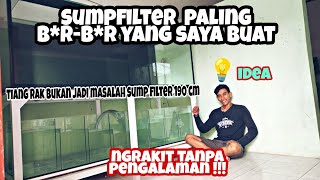 Menggabungkan !!! 2 Sump Filter Menjadi 1 Dengan Sistem Paralel || Pakai 1 Pump