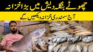 Musa Coloni Mini Bangladesh | Fish Market Tour | Fish rates increased before winter arrives 😷