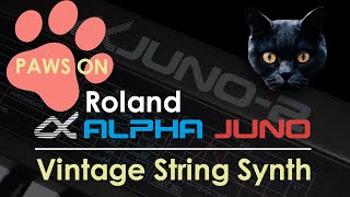 Paws On - Vintage String Synth Patch on the Roland Alpha Juno - Programming Tutorial