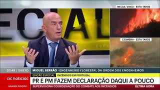 Análise | Coordenador do Conselho Regional de Colégio de Engenharia Florestal_Incêndios em Portugal