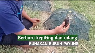 BUBU PAYUNG alat cari ikan, udang dan kepiting gampang gunakanya || Net fishing trab