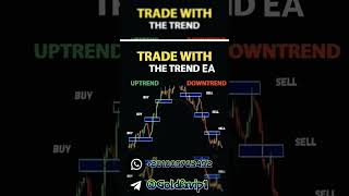 Trade with Trend EA 2024 STRATEGY FREE DOWNLOAD 🏆✨🏆