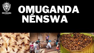 ENSWA ENNAKA - OMUGANDA NÉNSWA