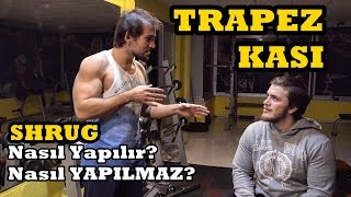 BÜYÜK TRAPEZLER için SHRUG (+Aptal ama ANATOMİ Bilen Hocaların Süper Yöntemi)