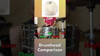 Drumhead comparison || Aquarian vs Evans vs Kentville