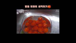 방울토마토 세척하는 방법🍅