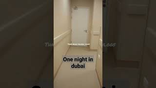 ഒൺ നൈറ്റ്‌ ഇൻ ദുബായ് #night #dubai @thaninadanmalayalivlogs7069