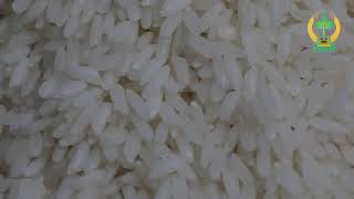 An Cuu white rice for wholesale Bulk Selling White Dried Long Grain Rice made in Vietnam