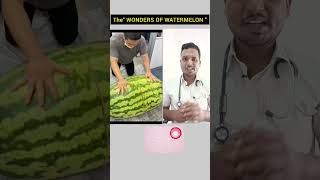 The "WONDERS OF WATERMELON"#Shorts#shortsfeed#watermelon#ayurveda#deardoctor#ytshorts#viral