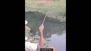 Hepinya Mancing Tuh Disini / Happy Fishing #Shorts