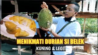 Menikmati Durian Si Belek Yang Kuning dan Legit-RD Explorer