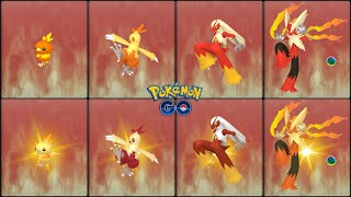 Pokemon GO : Evolving Normal &Shiny Torchic into Normal &Shiny Combusken and Normal &Shiny Blaziken