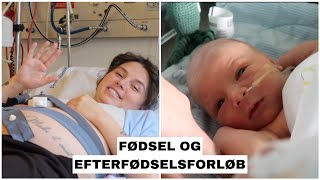 FØDSEL OG EFTERFØDSELSFORLØB II Nathalie Løkkebø Jakobsen